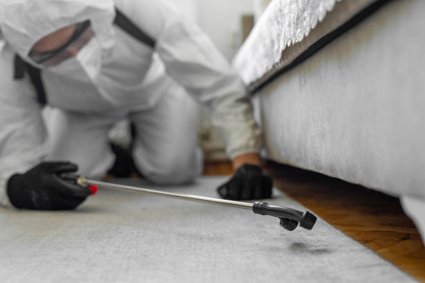 Professional Mosquito Control technician working in Simi Valley, CA