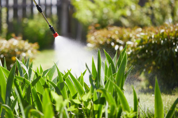24/7 Emergency Mosquito Control experts in Simi Valley, CA