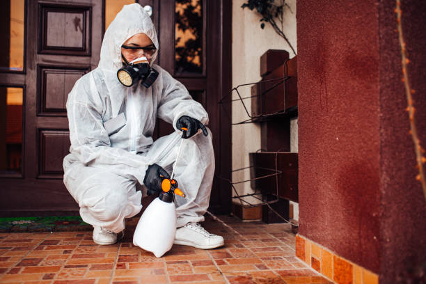Reliable Mosquito Control contractor in Simi Valley, CA by Nex Pest Control
